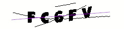 Q1